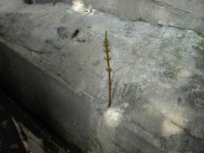 DSCN8941.JPG